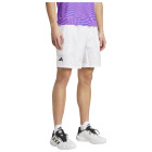 WHITE/DSHGRY